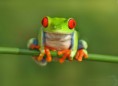 /album/fotogaleria/a7504330d8a-57746885-o2-jpg/